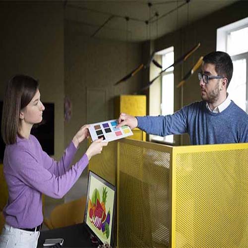 Professional Influencer Marketing Services in Pakistan