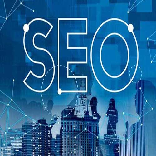 Professional Local SEO Services in Pakistan