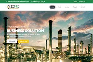 https://www.hubsol.com/public/upload/projects/63938_mes-pak-2.jpg